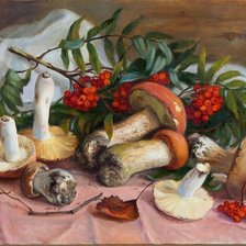 Грибы натюрморт