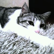 Схема вышивки «Полосатый кот»