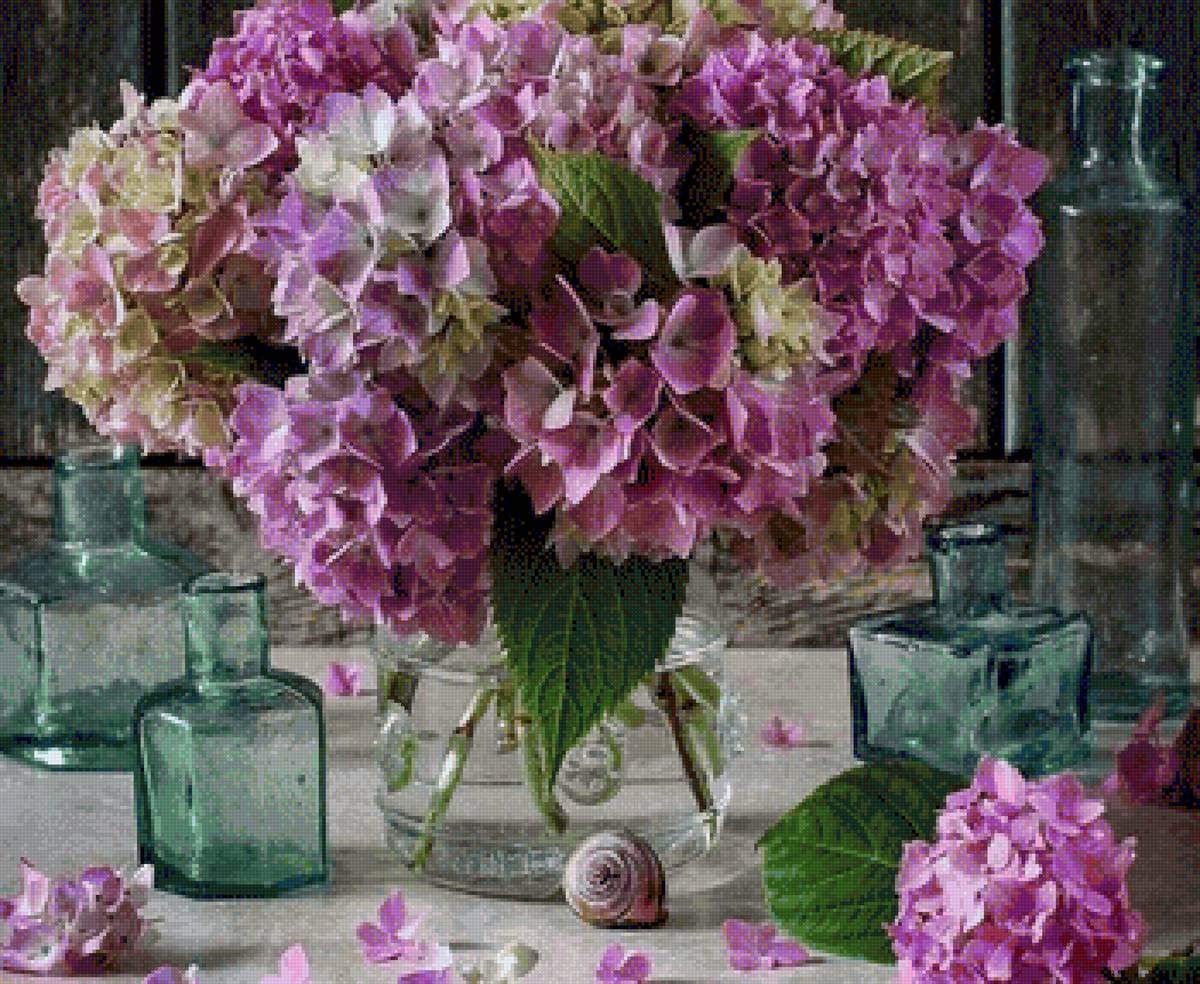 Гортензия - гортензия, букет, цветы - предпросмотр
