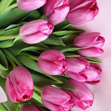 Схема вышивки «№2490171»