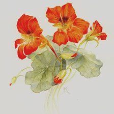 Схема вышивки «№2490256»