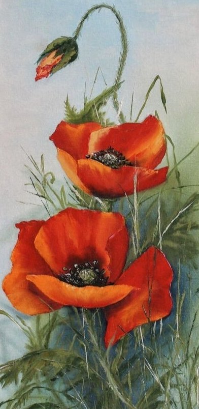 Маки - маки - оригинал