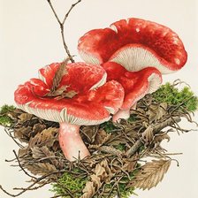 Схема вышивки «ГРИБЫ»