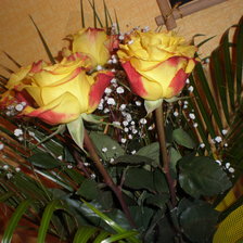 Схема вышивки «Букет»