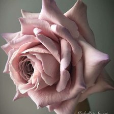 Схема вышивки «№2490869»