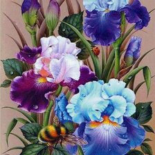 Схема вышивки «ириски»