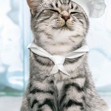 Схема вышивки «Поваренок»