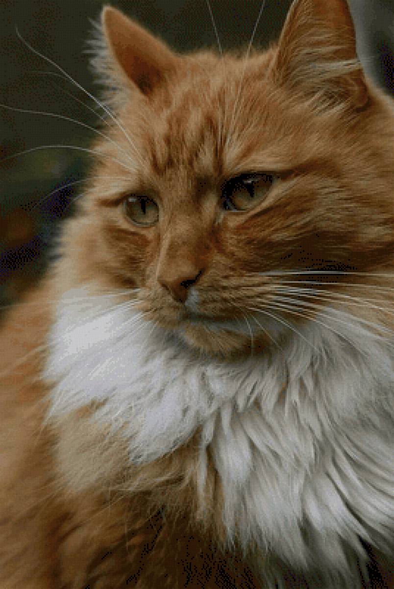 №2491215 - предпросмотр