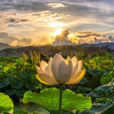 Схема вышивки «Tarde de verano»