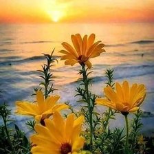 Схема вышивки «TARDE DE VERANO 2»