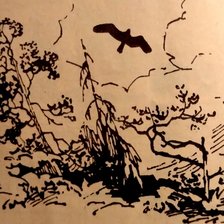 Схема вышивки «Птица»