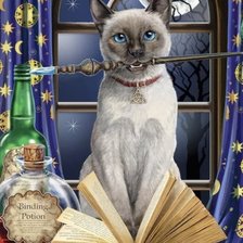 Схема вышивки «Кот»