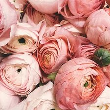 Схема вышивки «Цветы»