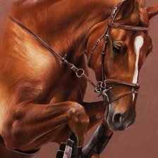 Схема вышивки «конь»