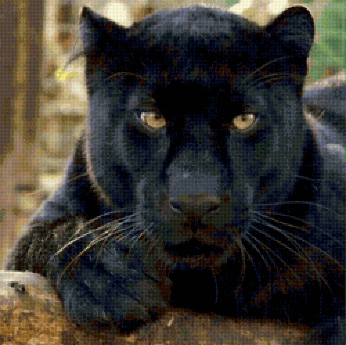 Пантера - предпросмотр