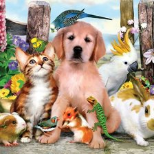 Животные дом  2