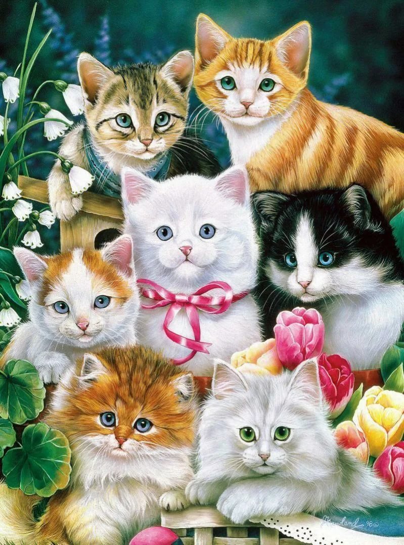 Котята - конва 16 или 18 - оригинал