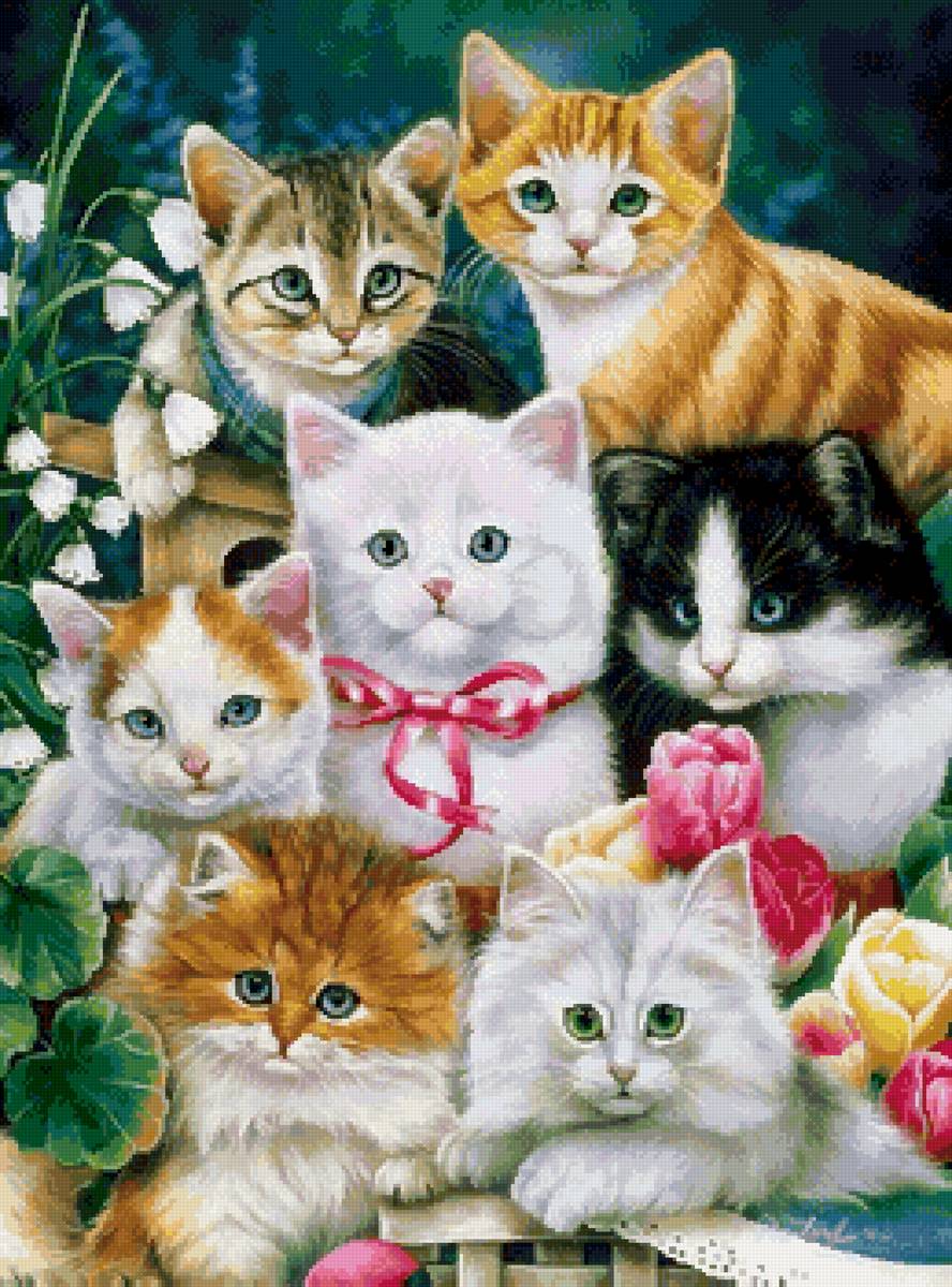 Котята - конва 16 или 18 - предпросмотр