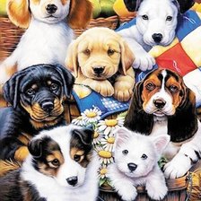 Схема вышивки «Собачки»