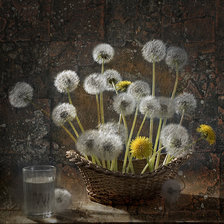 Схема вышивки «Одуванчики»