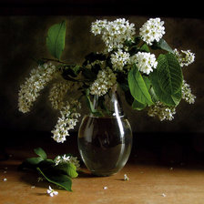 Схема вышивки «Черёмуха»