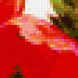 Предпросмотр схемы вышивки «Маки» (№2492063)