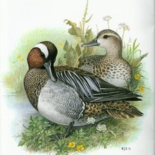 Схема вышивки «№2492085»