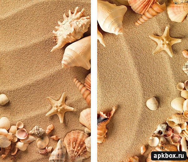 Ракушки - ракушки, песок - оригинал