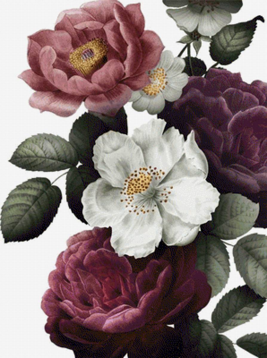 №2492479 - предпросмотр