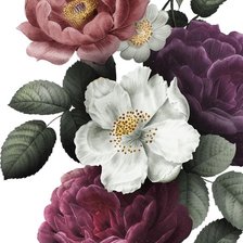 Схема вышивки «№2492479»