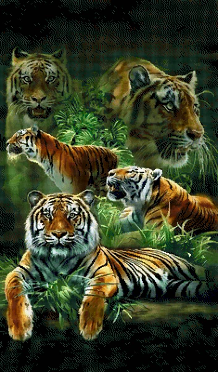 Тигр - канва можно использовать с 14 и 16 - 18 - предпросмотр