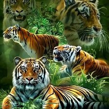 Схема вышивки «Тигр»