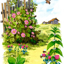 Схема вышивки «№2492989»