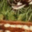 Предпросмотр схемы вышивки «Летний зной» (№2493015)