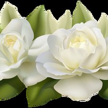 Схема вышивки «№2493044»