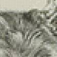 Предпросмотр схемы вышивки «№2493534»