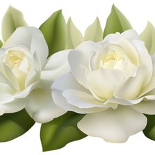 Схема вышивки «№2493549»