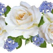 Схема вышивки «№2493581»