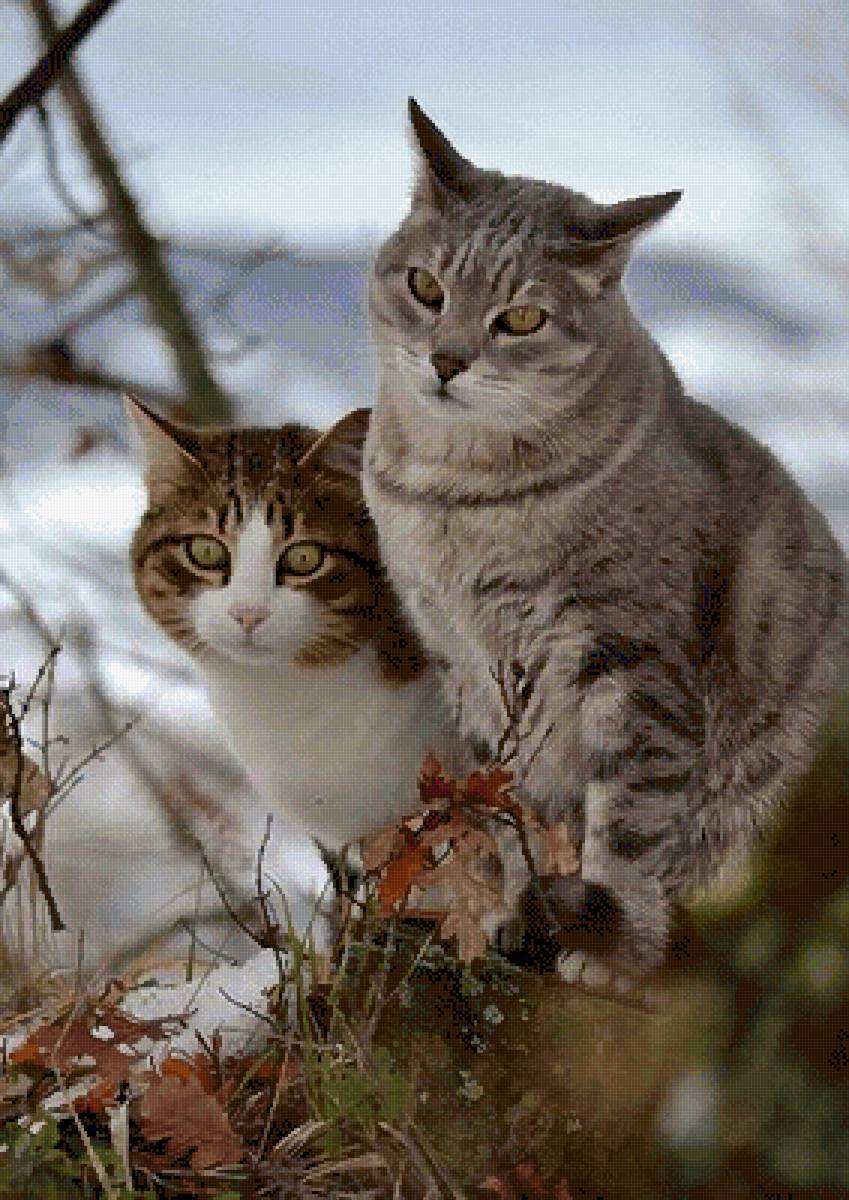 №2493847 - предпросмотр