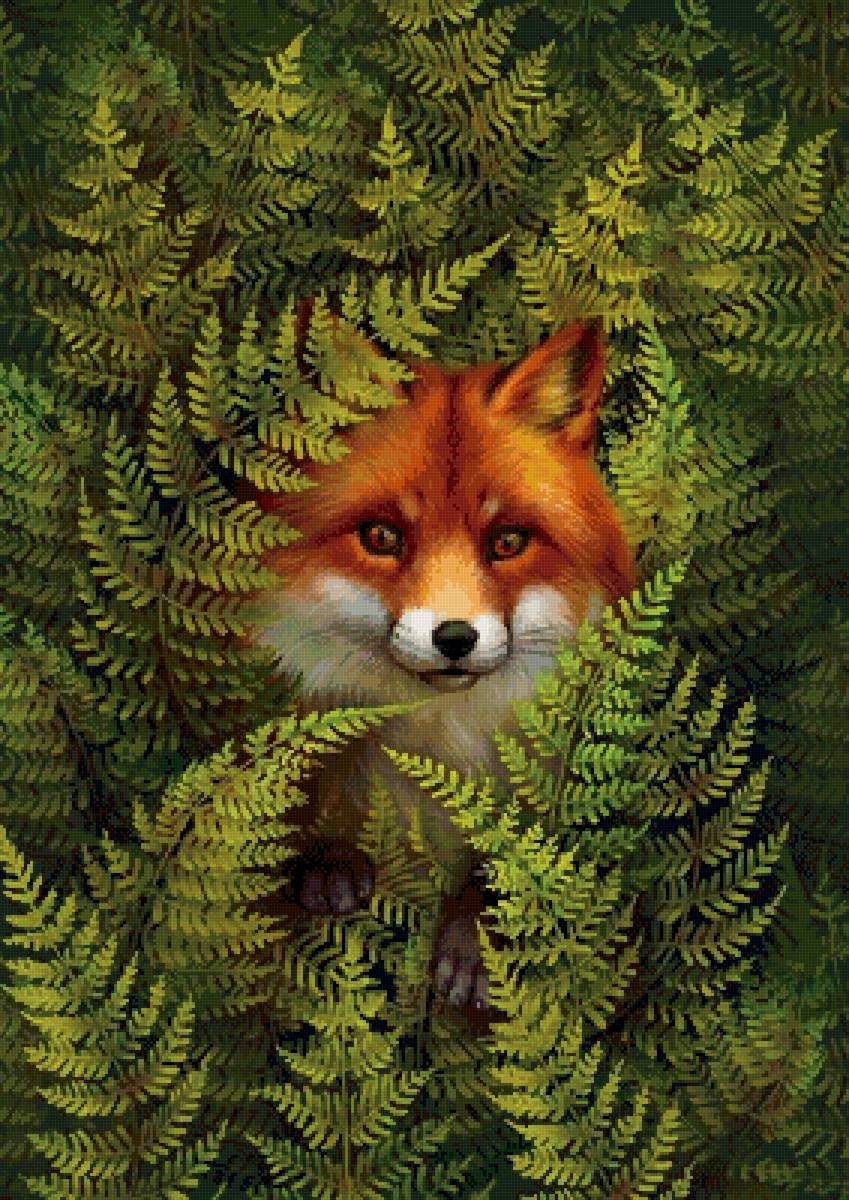 дикие - предпросмотр