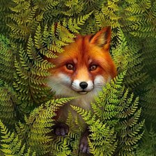 Схема вышивки «дикие»