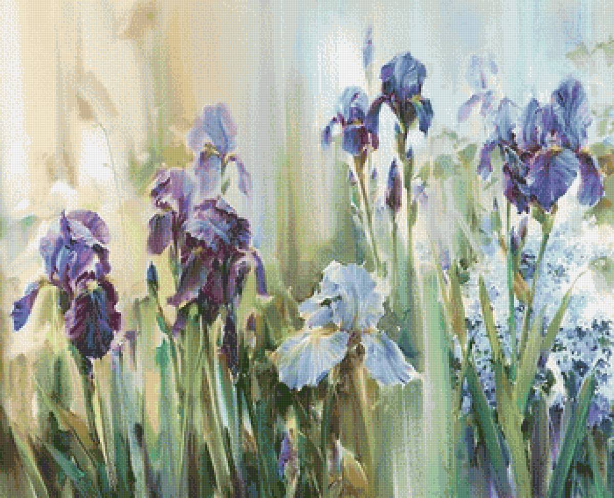 ирисы - ирисы, цветы - предпросмотр