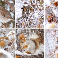 Схема вышивки «Зима»