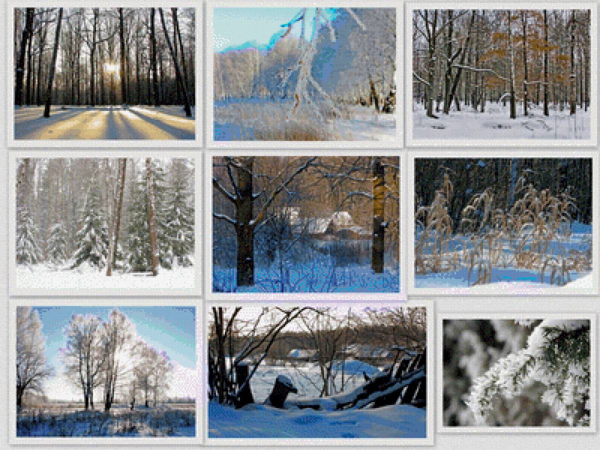 Зима - лес, зима - предпросмотр