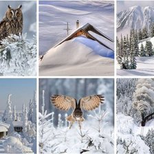 Схема вышивки «Зима»