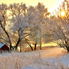 Схема вышивки «У леса на опушке»