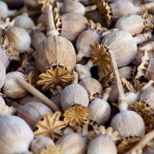 Схема вышивки «Мак»