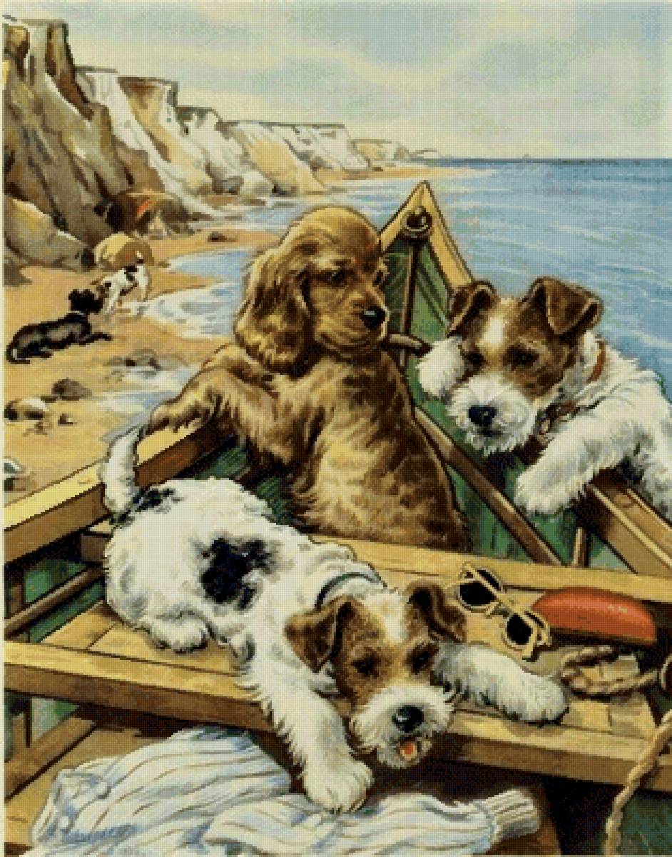 Собачки у моря - животные - предпросмотр