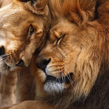 Схема вышивки «Leon»