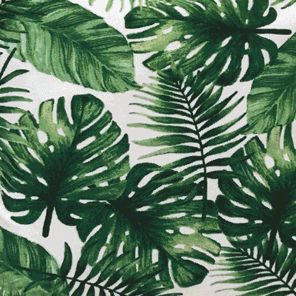 Тропические листья - растения листья зелень - предпросмотр